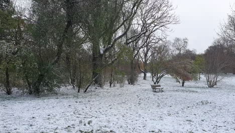 Schwenk-Nach-Links-Berlin-Im-Winter-Im-Park-Tempelhöferfeld-Mit-Schnee-Bedeckt-HD-30-Fps-6-Sek