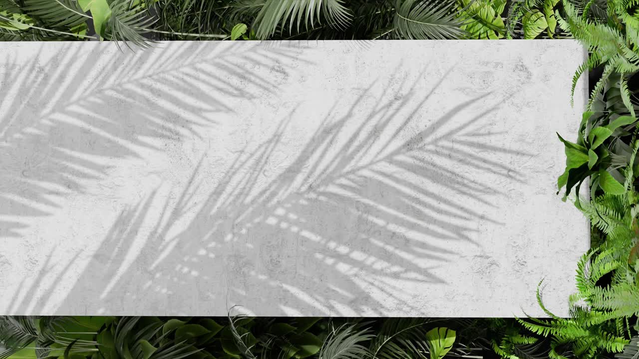 A Shadow of tropical palm leaves on white concrete wall with green jungle foliage frame. Nature inspired template background. Summer vacation and botanical concept. Design for banner. vertical