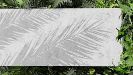 a shadow of tropical palm leaves on white concrete wall with green jungle foliage frame. nature inspired template background. summer vacation and botanical concept. design for banner. vertical