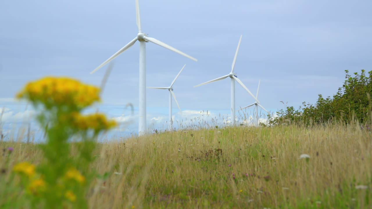 풍력 터빈은 바람이 불는 날 노란색 잡초와 풀을 지나 낮게 접근합니다.