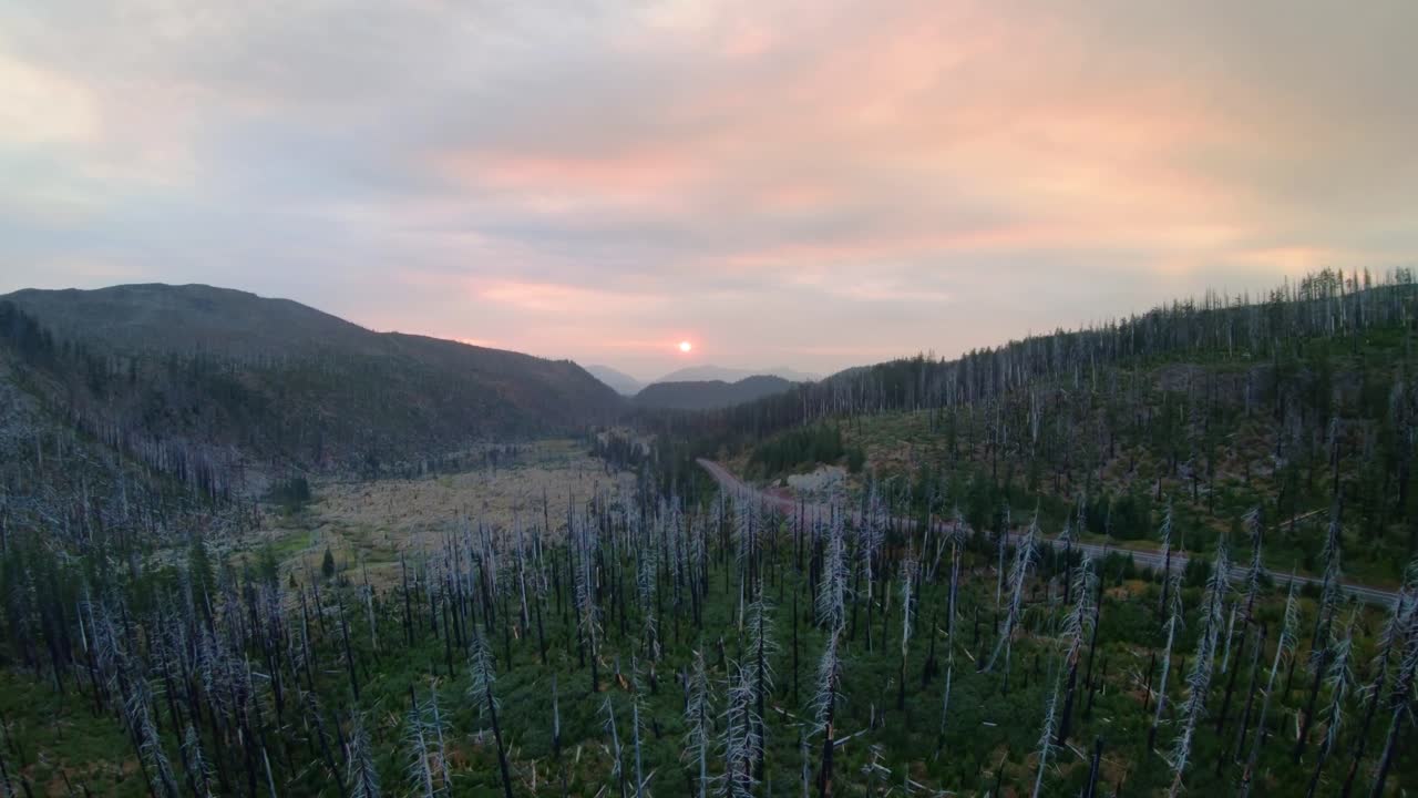 puesta de sol a través de un cielo humeante mientras pasa por árboles quemados