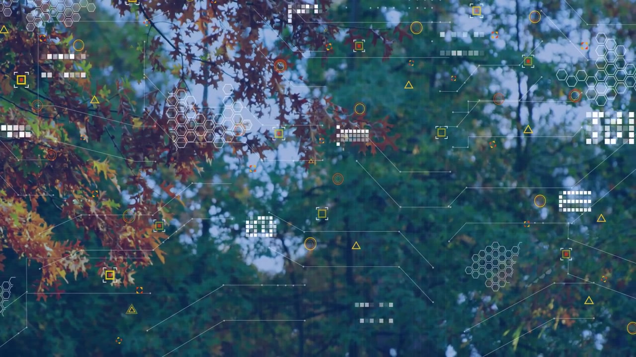 Autumn branches being overlaid with digital hexagon grids and node connections in flat design