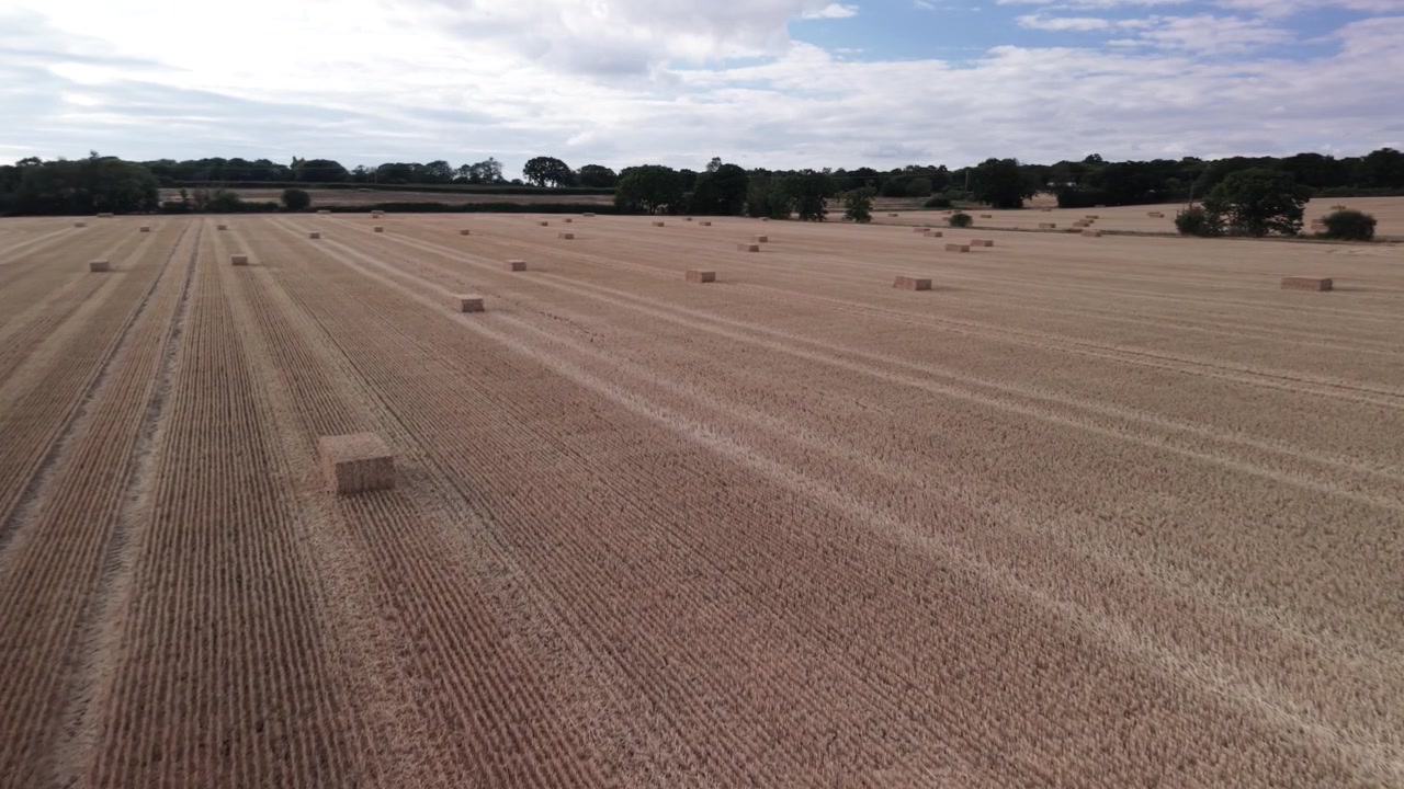 Wide aerial shot of golden rectangular straw bales scattered across a harvested agricultural field under a cloudy sky. Perfect for sustainability and farming industry concepts.