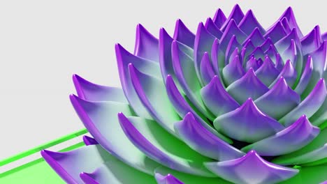 hypnotic animation of lotus flower spawning infinite petals, loop