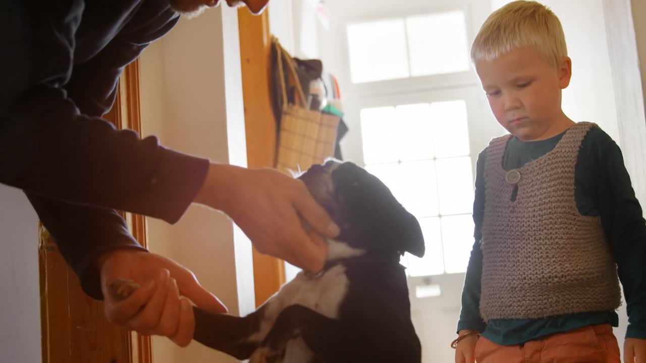 padre e hijo acariciando a su perro doméstico en casa 4k
