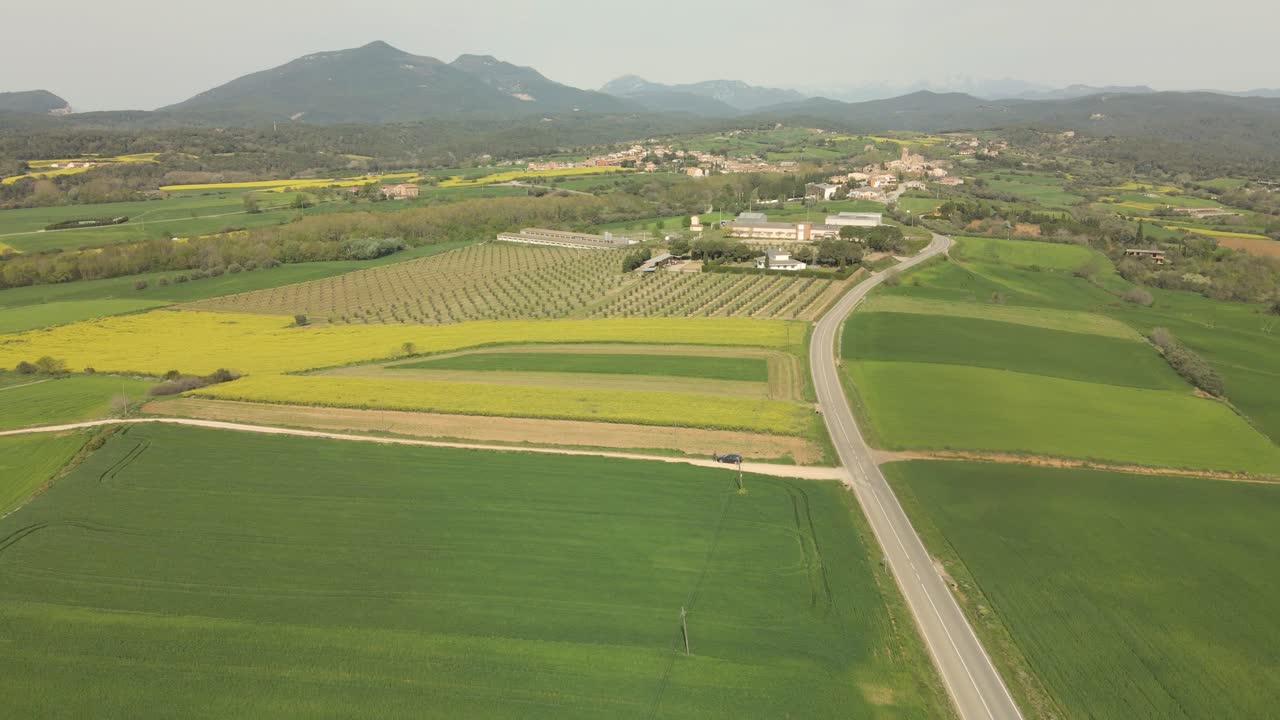 vuelo cinemático sobre una finca con olivos cultivados y colza en la costa brava en girona armonía y tranquilidad muy cuidada