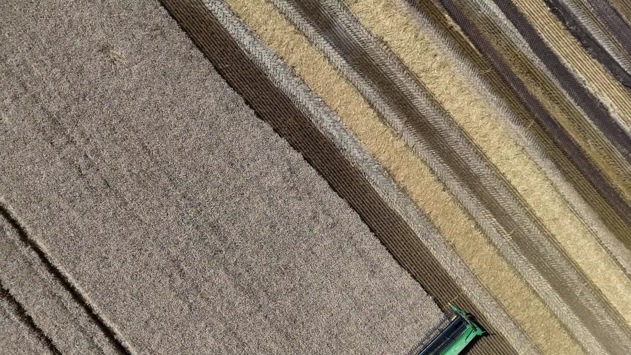 en el noreste de wisconsin, una cosechadora corta el trigo de invierno y separa el grano del material vegetal.