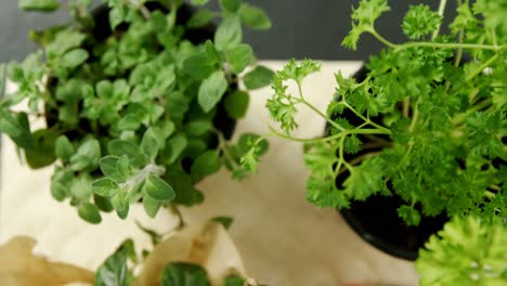 Various-herbs-in-bowl-4k