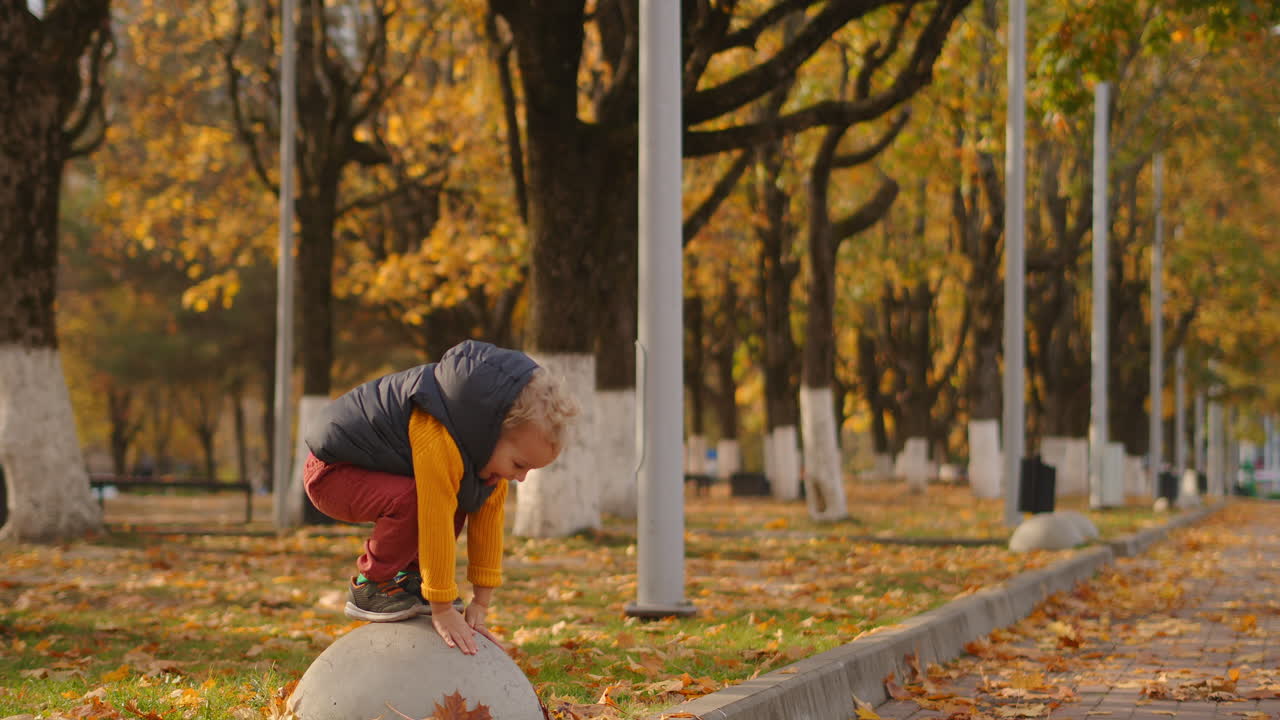 공원에서 가을 날 귀여운 어린 아이가 놀고 미소 짓고 카메라에 혀를 보여주며 주말에 낮에 가족 산책에서 촬영 된 전체 길이입니다.