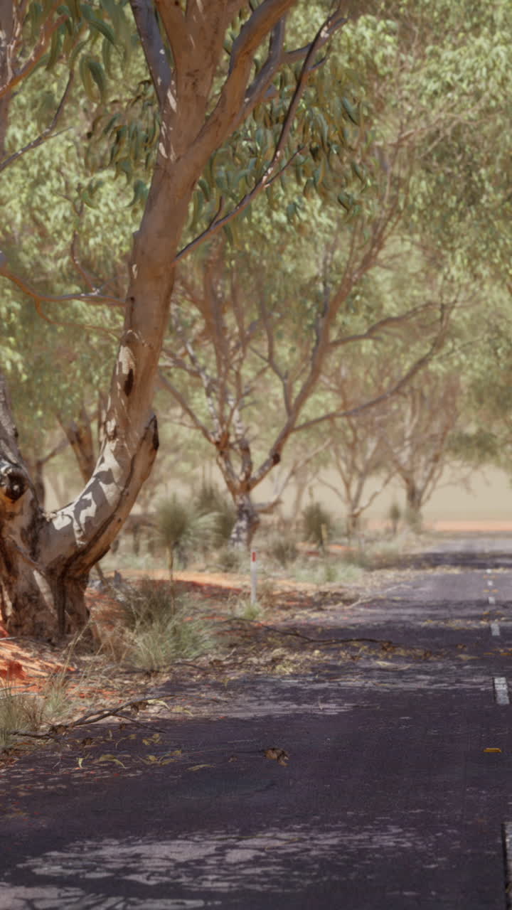 오스트레일리아 외을 가로지르는 외로운 길