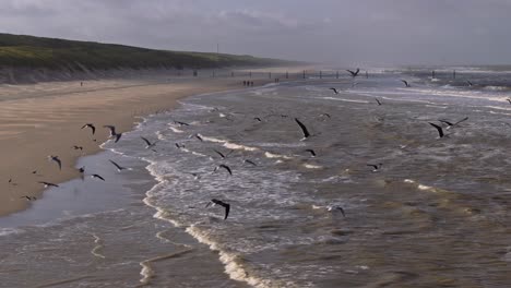 coastal view with gulls and people