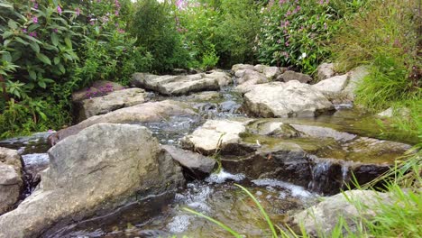 stream in the forest in sauerland