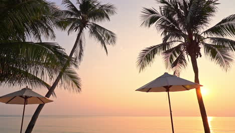 costa tropical de la isla al atardecer, palmeras y silueta de sombrilla cerca de la playa