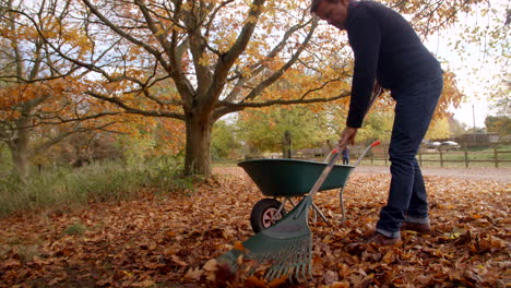 Reifer-Mann,-Der-Herbstblätter-Harkt,-Aufgenommen-In-Zeitlupe