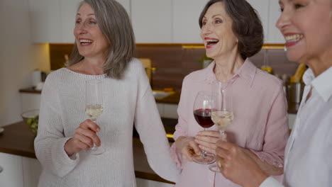 grupo de alegres amigos mayores riendo y brindando con copas de vino en la cocina 1