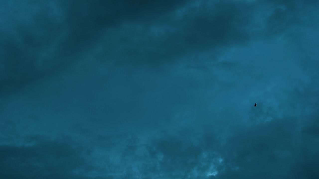 어고 극적인 구름을 배경으로 날아다니는 외로운 새는 외로움과 고립을 상징합니다.