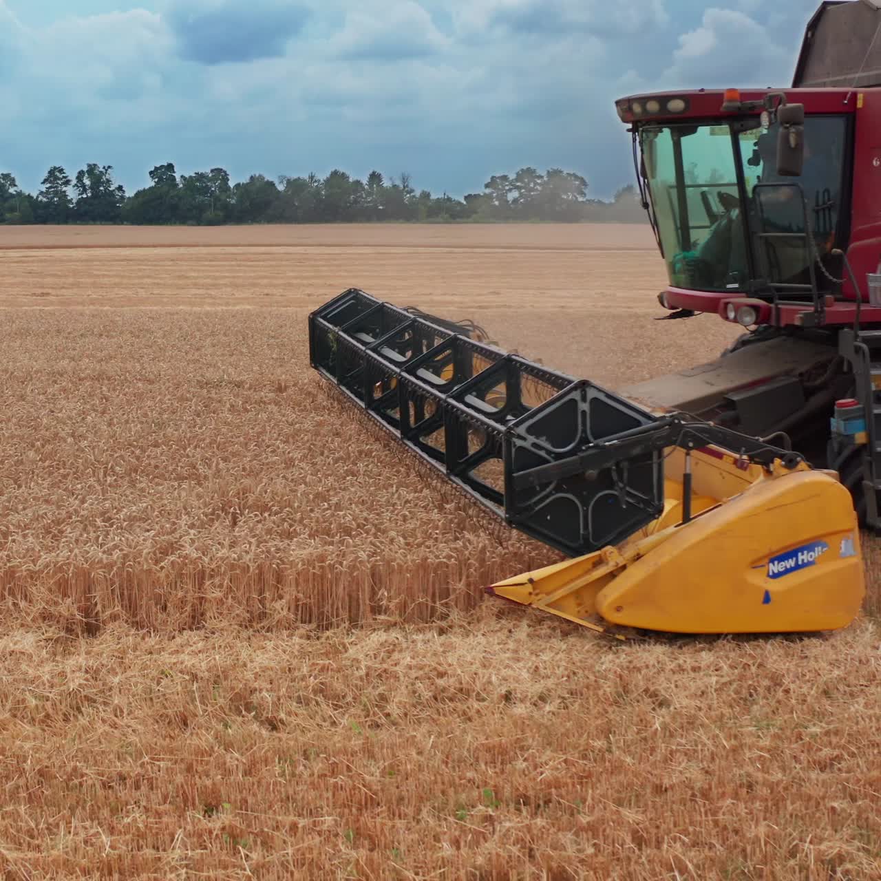 Big mchine for gathering crops. Big agricultural combine harvesting on yellow wheat field