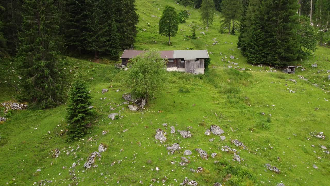 acogedora casa de madera muy antigua en los alpes austriacos en una colina con hierba verde