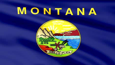 large looping animated flag of montana