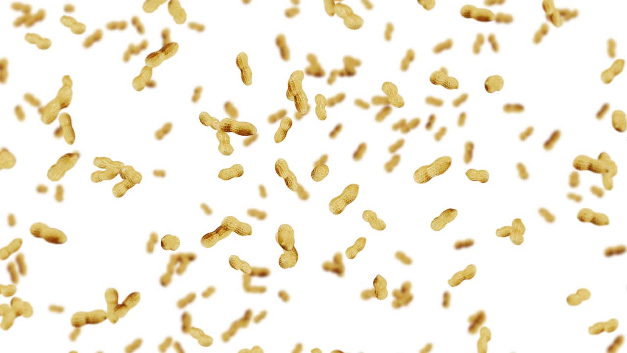 много арахиса на белом фоне. сырые арахис. арахис в оболочках. здоровая органическая еда. 3d цикл анимации семенного вращения.