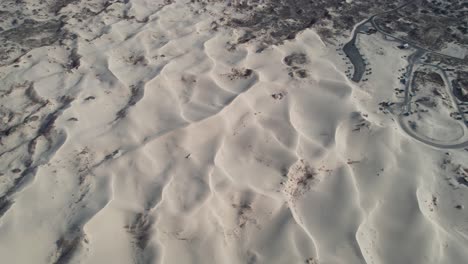 monahans sandhills sate park, texas usa