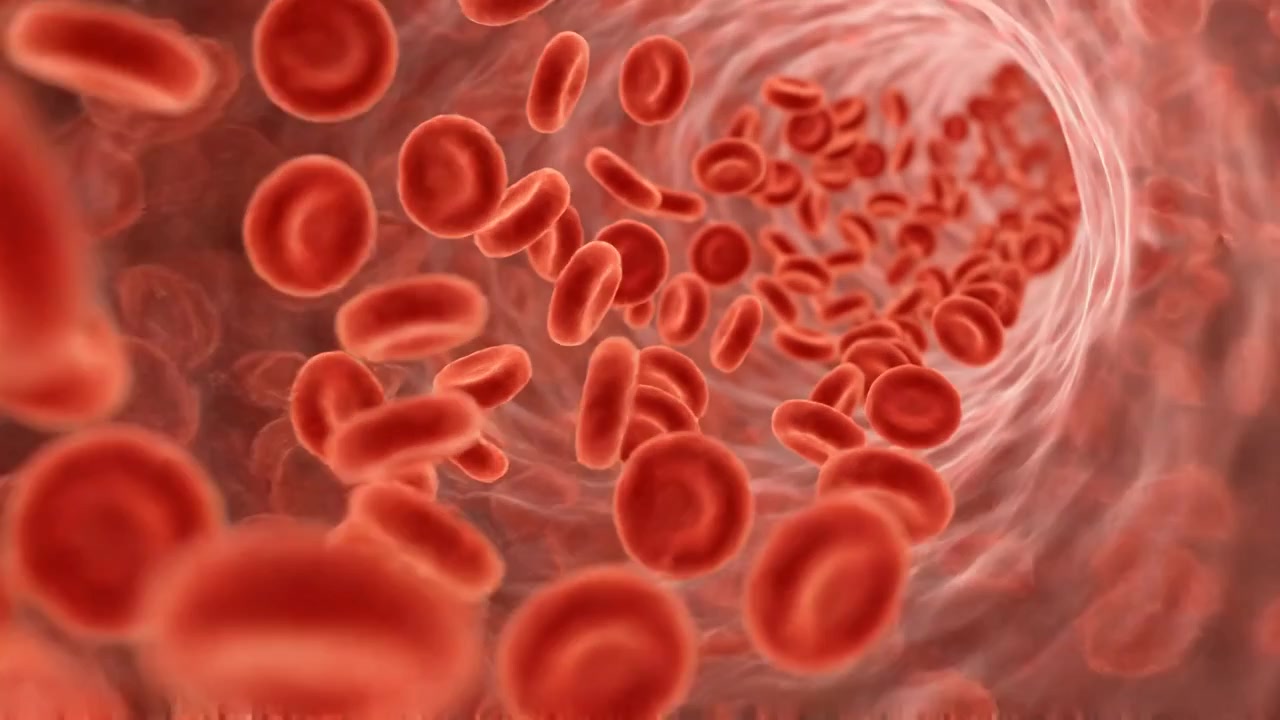 Red blood cells flowing densely through curved illuminated vessel in science view