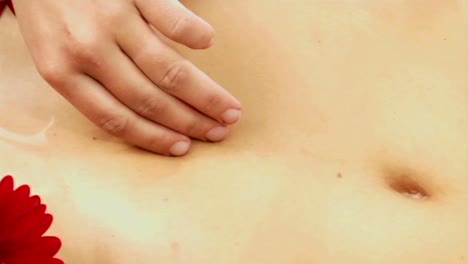 una mujer usa la parte inferior de un biquini y flores mientras desliza su mano del estómago a la cara