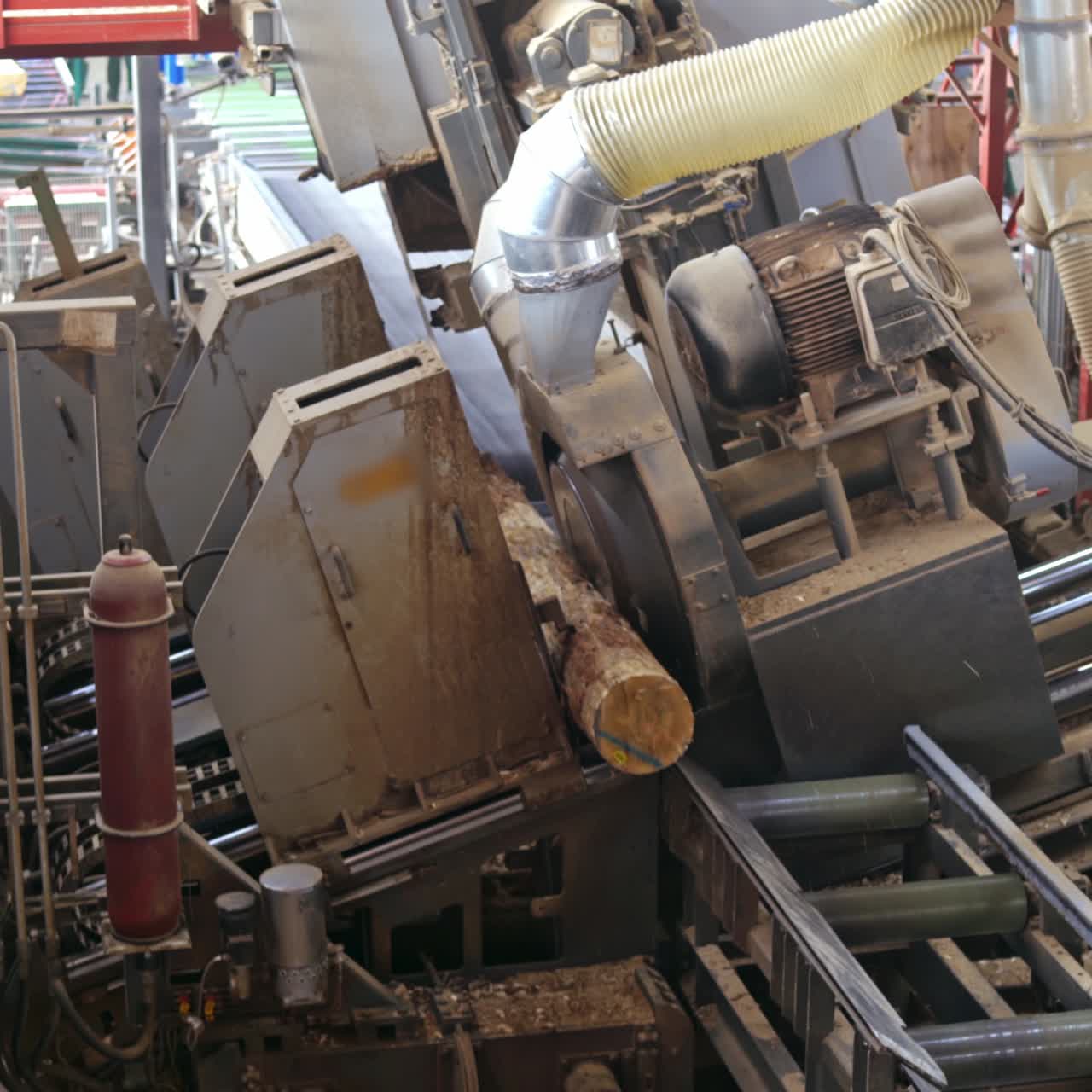 The tree sawmill factory