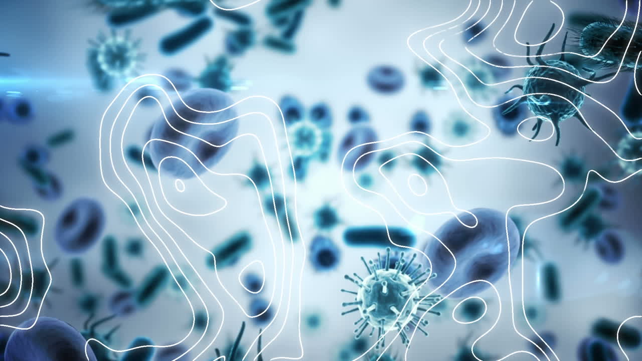 Topography over multiple covid-19 cells and blood vessels floating against grey background