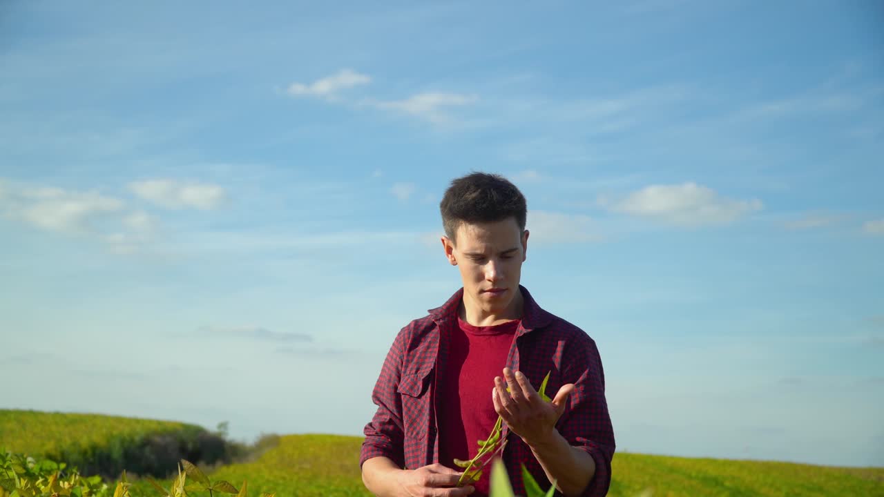 을 확인하는 농부 초록색의 배경 개념 생태학, 바이오 제품, 자연 제품