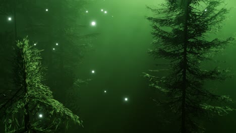 magical forest with sparkles