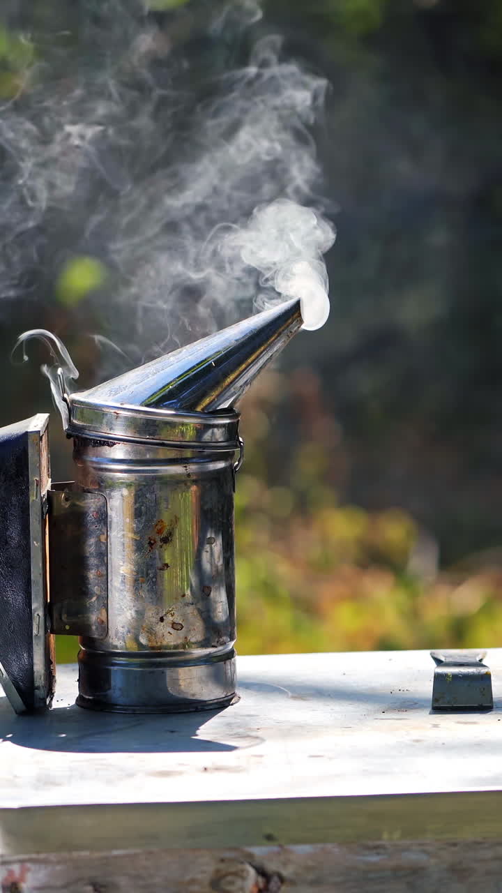 Chimney with smoke on a beehive. Smoker tool stands on a hive. Bees flying around. Beekeeping tool smoking. Apiculture concept. Vertical video