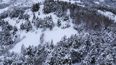 Paisaje-Invernal,-Hermosas-Vistas-Aéreas