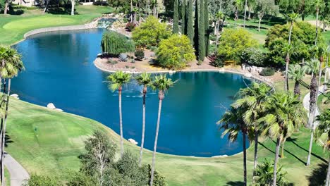 birds flying over a pond on a luxurious golf course mid day aerial telephoto trucking pan