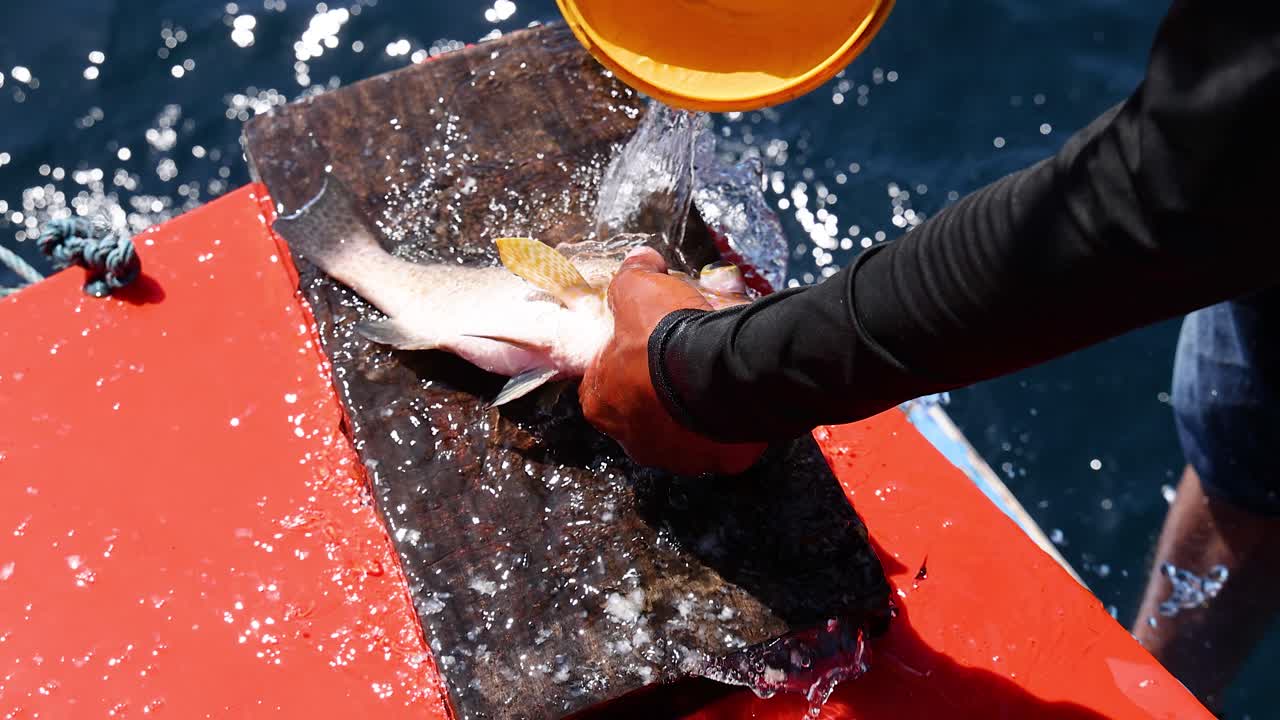 Person scales fish on boat with water bucket
