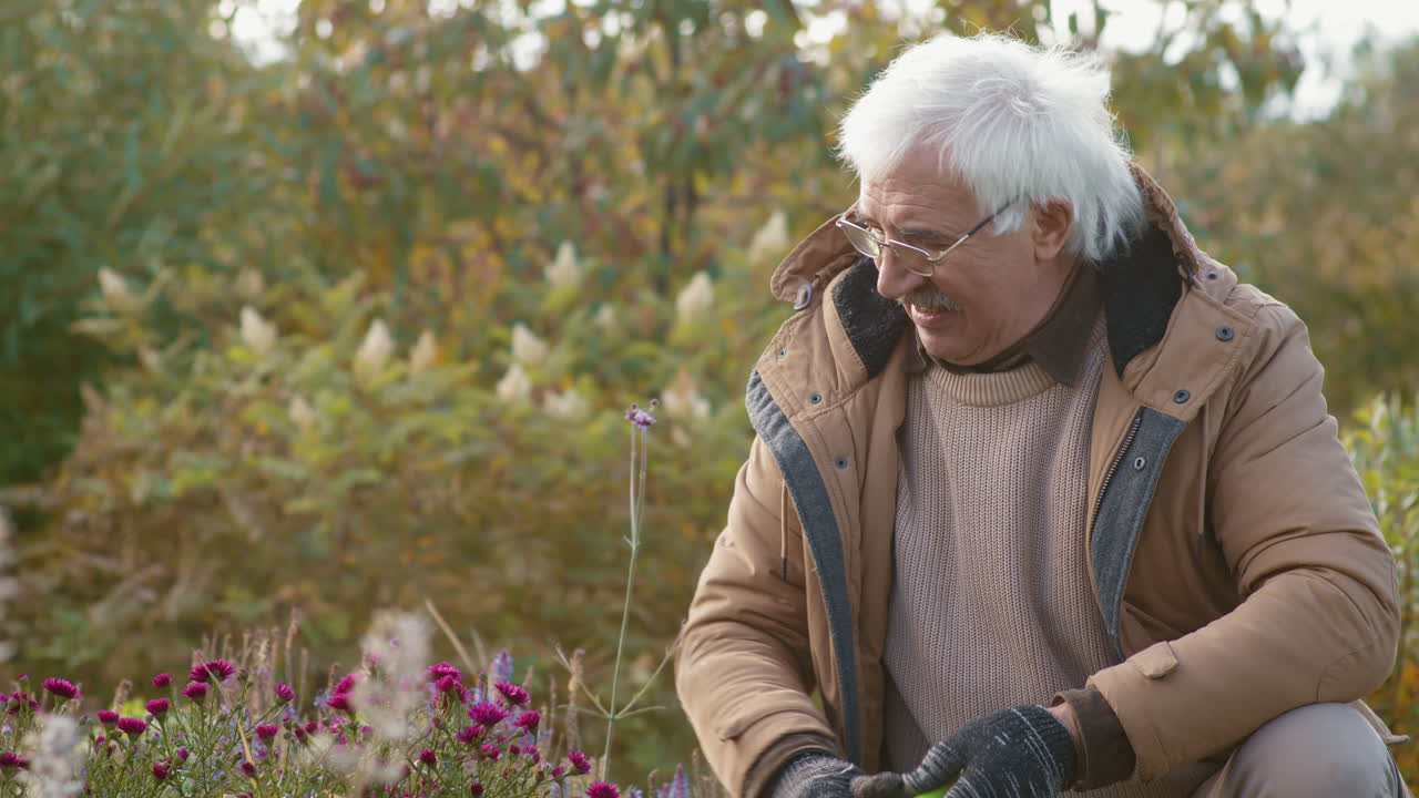 Senior man gardening in autumn