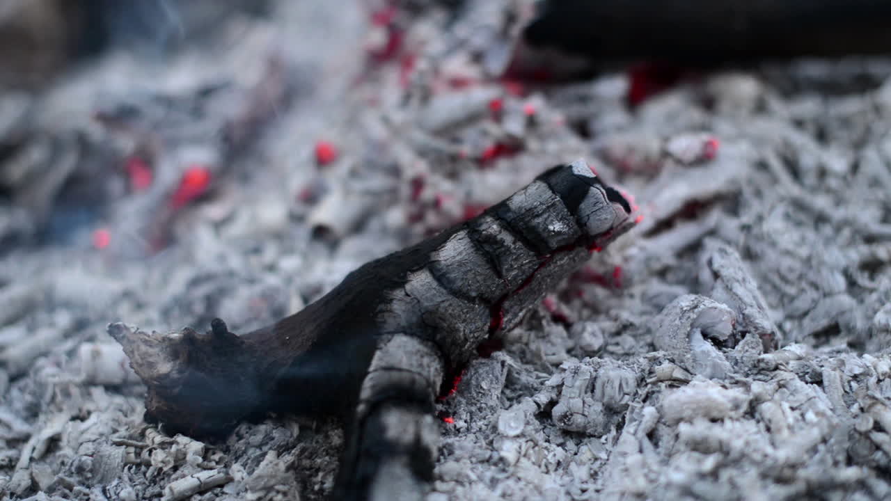 숲에서 회색 배경으로 재로 불타고 있습니다.