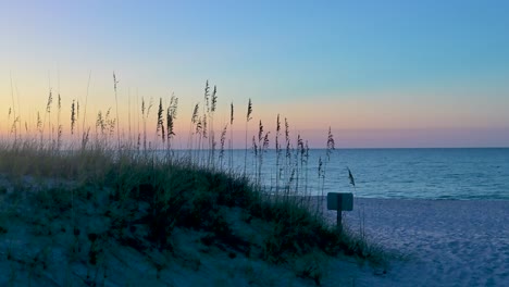 Seehafer-Weht-Bei-Sonnenaufgang-Im-Wind-Am-Weißen-Sand-Der-Smaragdküste-Im-Golf-Von-Mexiko