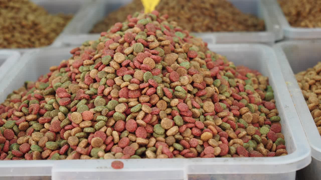 comida para mascotas en un cuenco