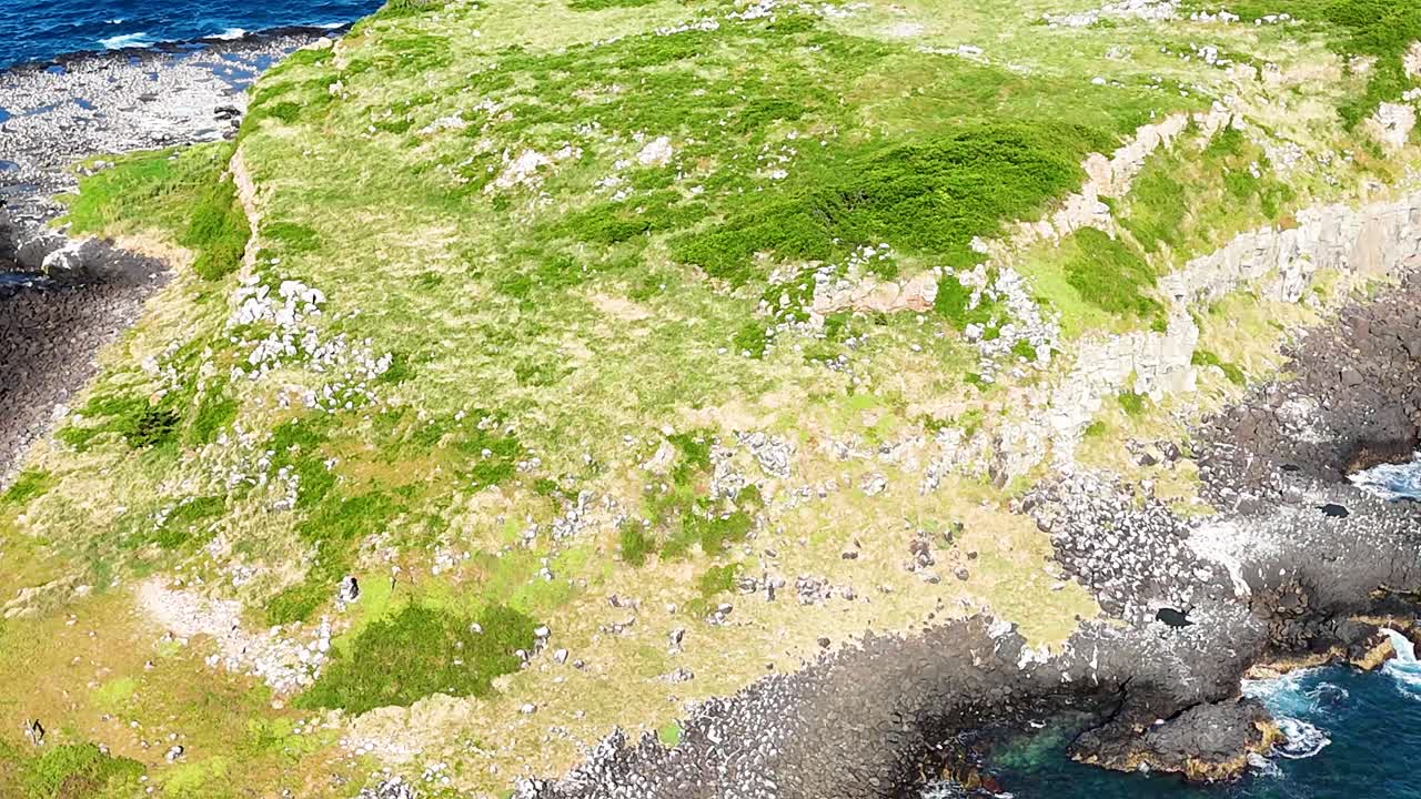 핑갈 헤드 (fingal head) 에 있는 육각형의 암석구조