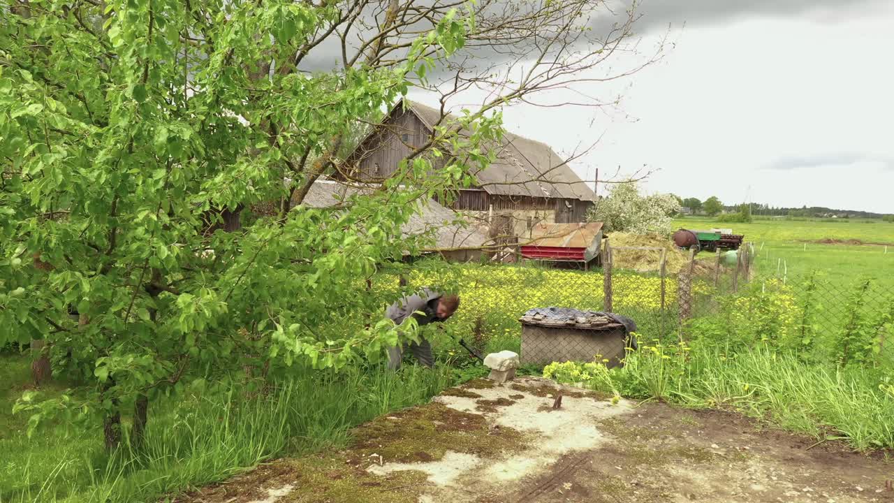 남자는 뒤뜰에서 잔디를 깎고, 공중 돌리와 고군분투