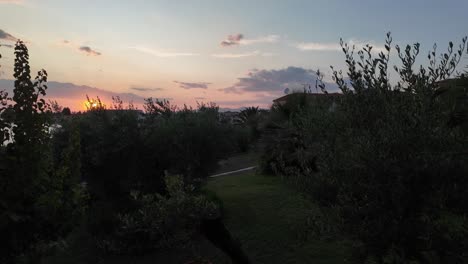 sunset halkidiki beach resort greece relaxation olive tree garden golden hour