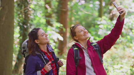 Amigas-Posando-Para-Selfie-En-Teléfono-Móvil-En-Vacaciones-Caminata-Por-El-Bosque-Juntos