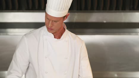 handsome chef using tablet and preparing vegetables