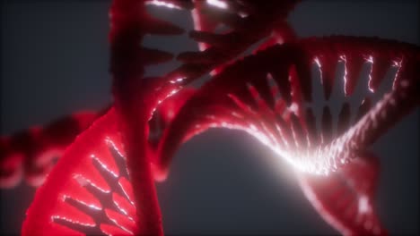 Estructura-De-Doble-Hélice-De-Bucle-De-Animación-De-Primer-Plano-De-Hebra-De-Adn