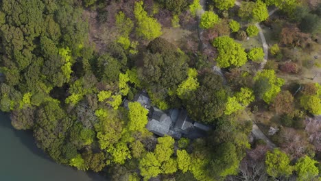 Spring-Arashiyama,-Top-Down-Aerial-View-view-of-Kyoto-mountain-park