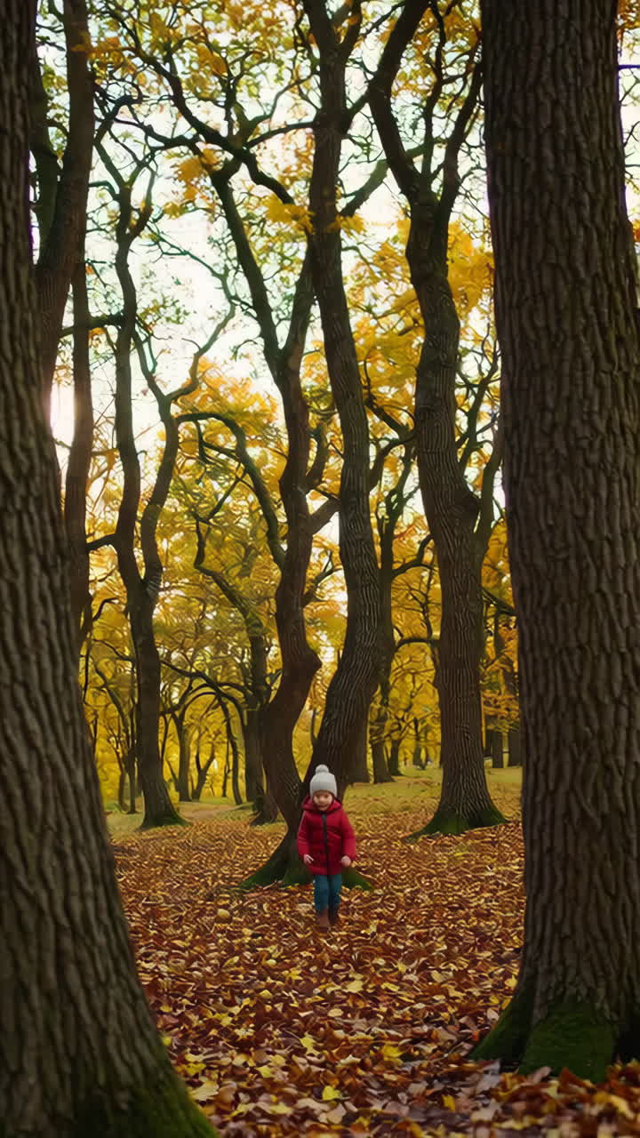 Toddler playing and exploring autumn leaves in a forest