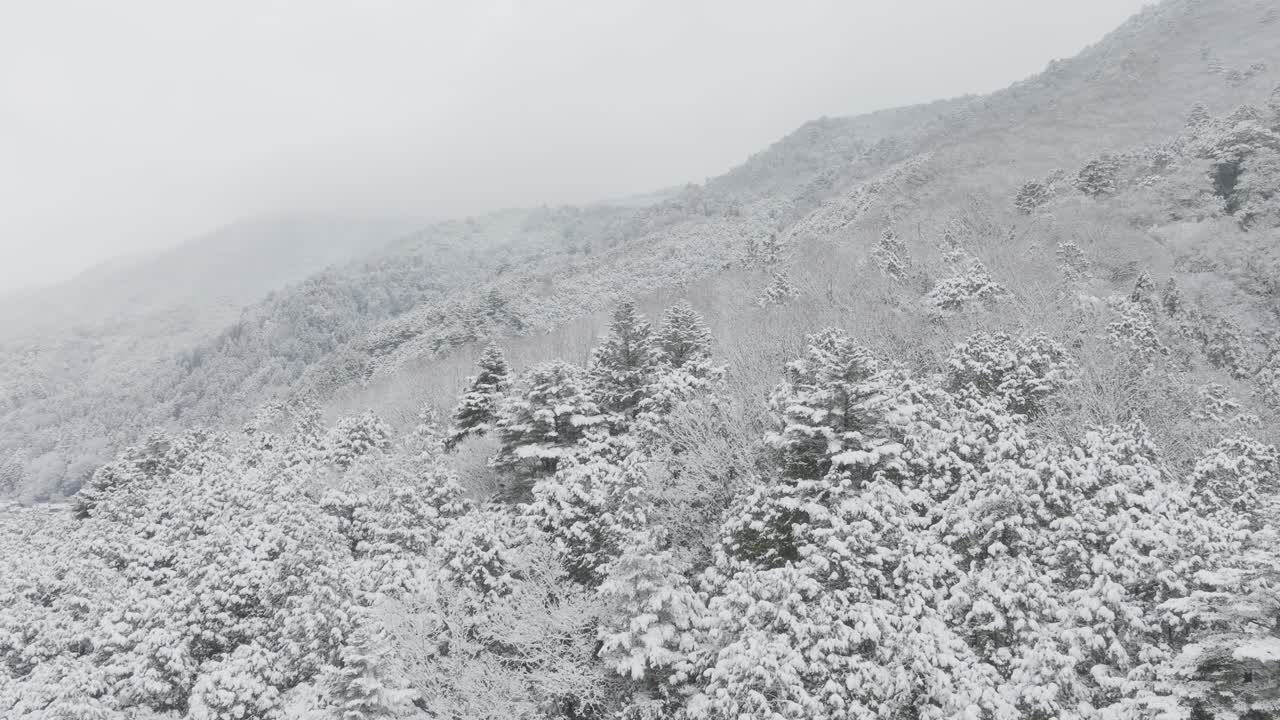 Serene Winter Drone View of Mount Hiei Snow Covered Landscape in Kyoto Japan