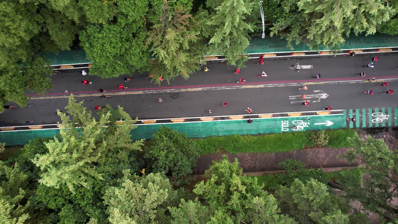 차풀테펙 숲의 간디 애비뉴를 통과하는 멕시코시티 마라톤 선수들의 공중 드론 샷