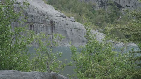 Lago-En-La-Distancia-A-Través-De-Un-Bosque-Nativo